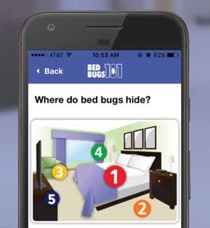 The newly re-designed BedBugs 101 teaches you everything you never wanted to know about the critters living in your bed.