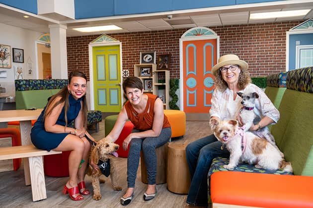 From left to right are Victoria Valentinas, HPU Class of 2012; Erin Stratford Owens, executive director of the Humane Society of the Piedmont; and Dr. Jane Nichols, chair and associate professor of interior design at HPU, along with a few furry friends in the redesigned lobby reception area at the Humane Society.