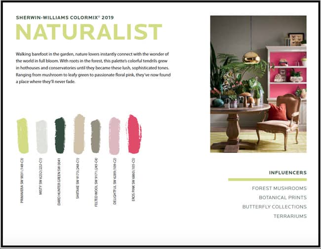 Pictured above is a page from the Colormix trend forecast, featuring the Naturalist theme.